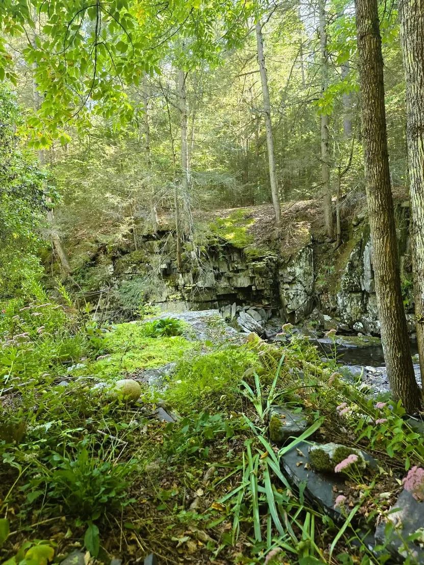 Photo of 1107 Broad Brook
