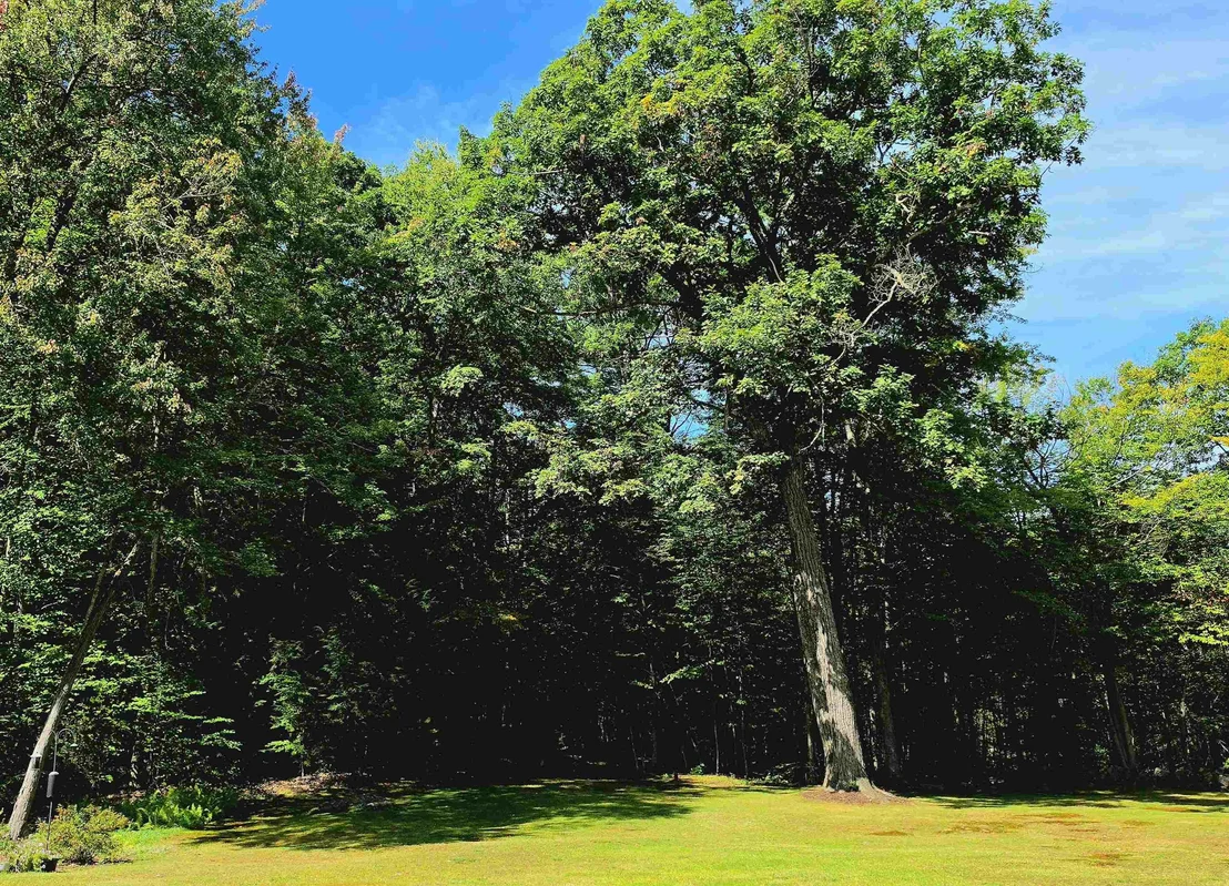 Photo of 90 Deer Run