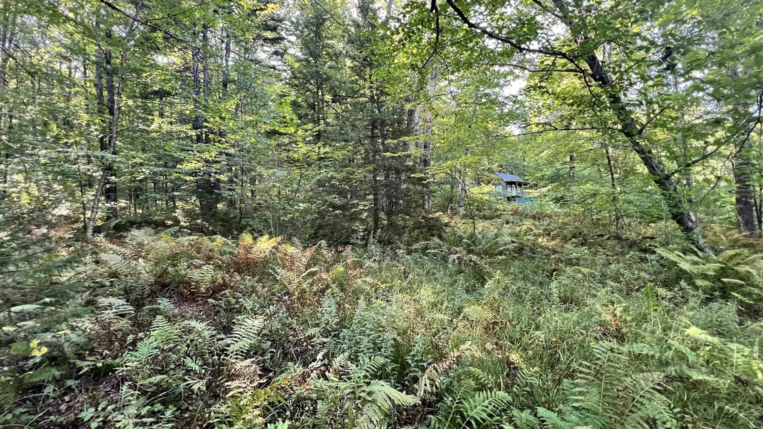 Photo of 2075 Codding Hollow