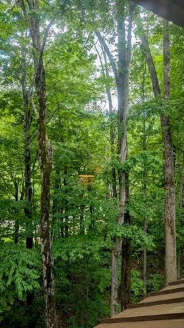 Photo of Unit 1 at 6 Easterly