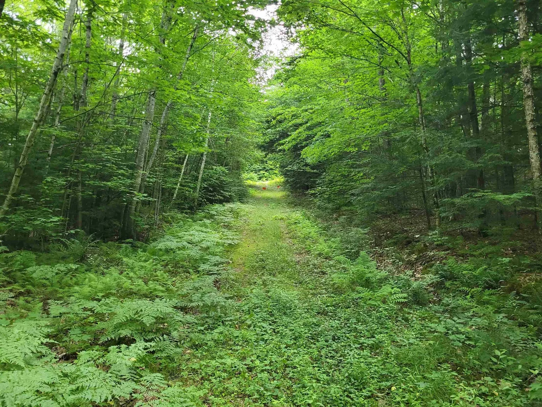 Photo of Lot 2 Bear Mountain