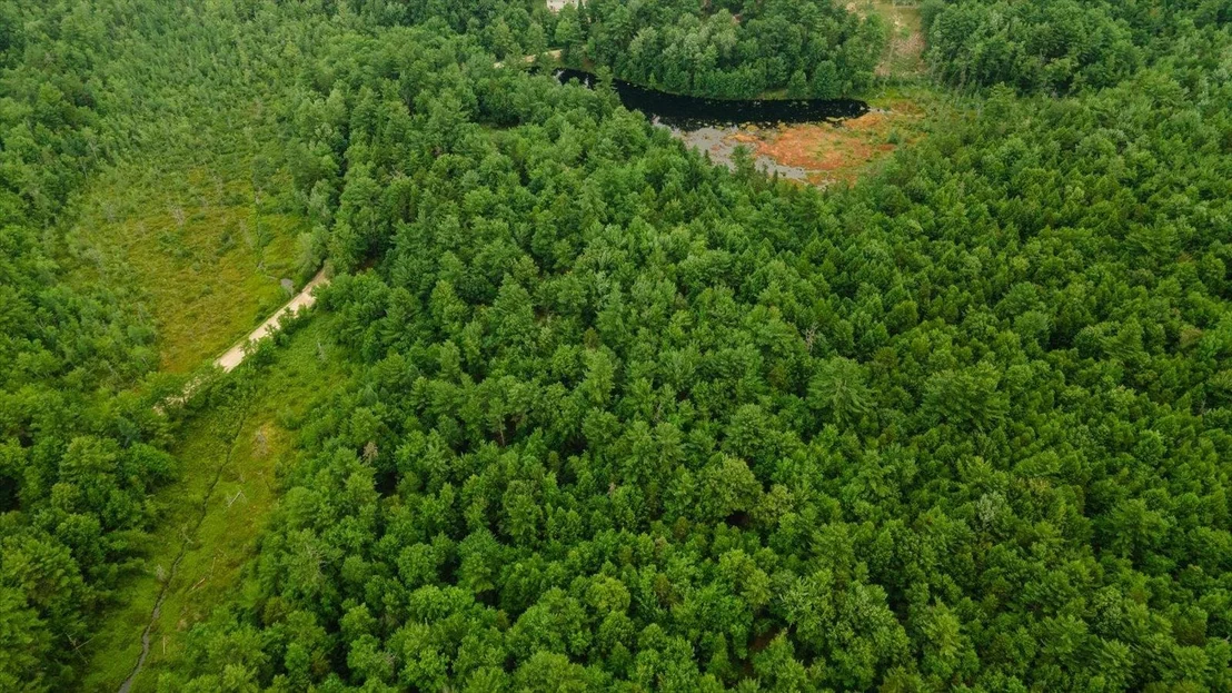 Photo of Lot 0 Pine