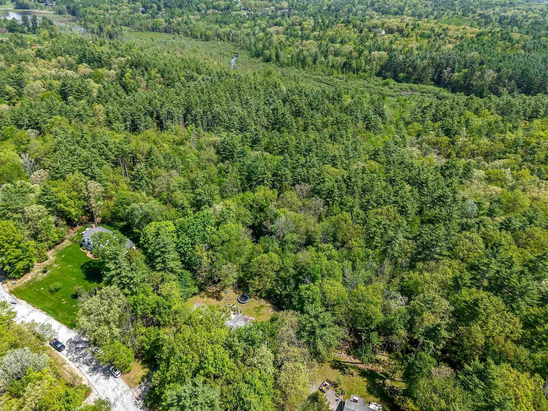 Photo of 19 Winterberry