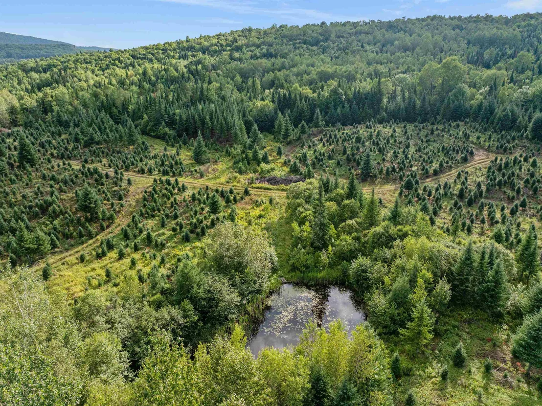 Photo of - Capon Brook