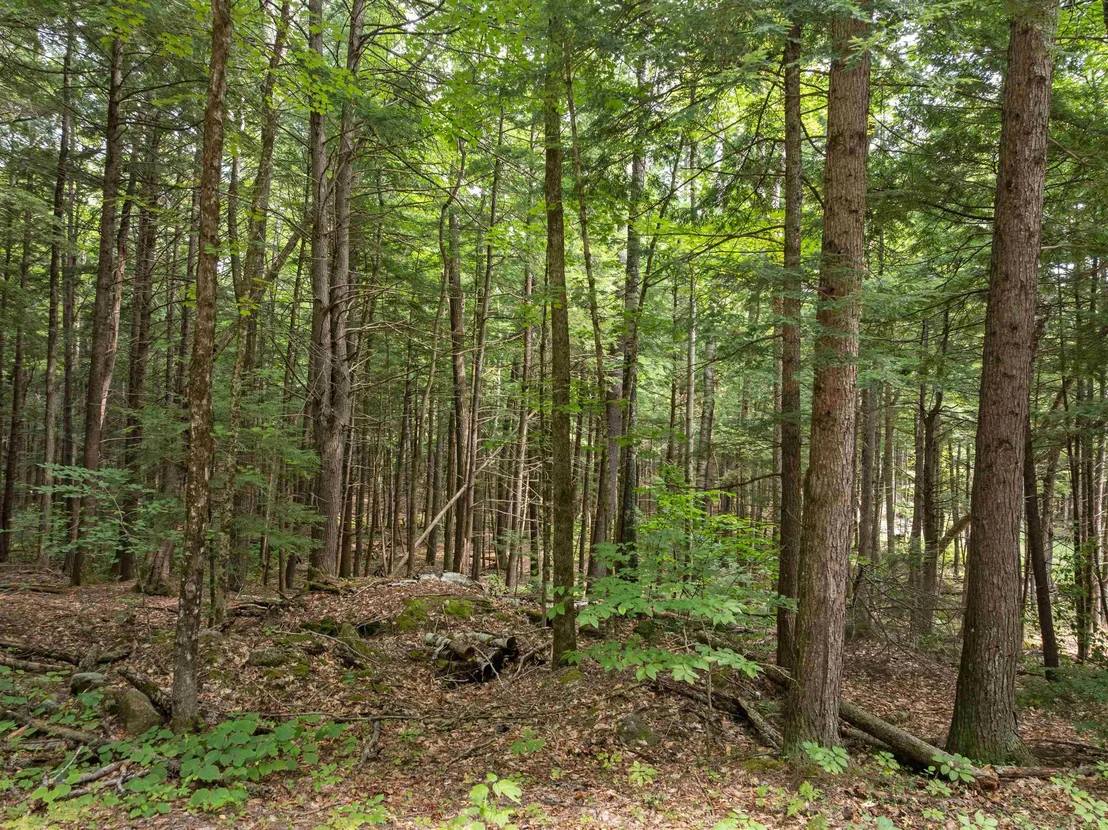 Photo of 32 Forest Pond