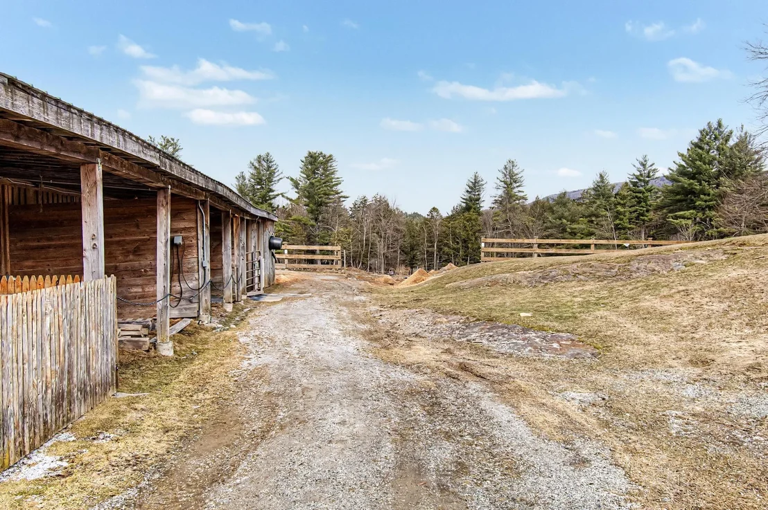 Photo of 984 Pollander