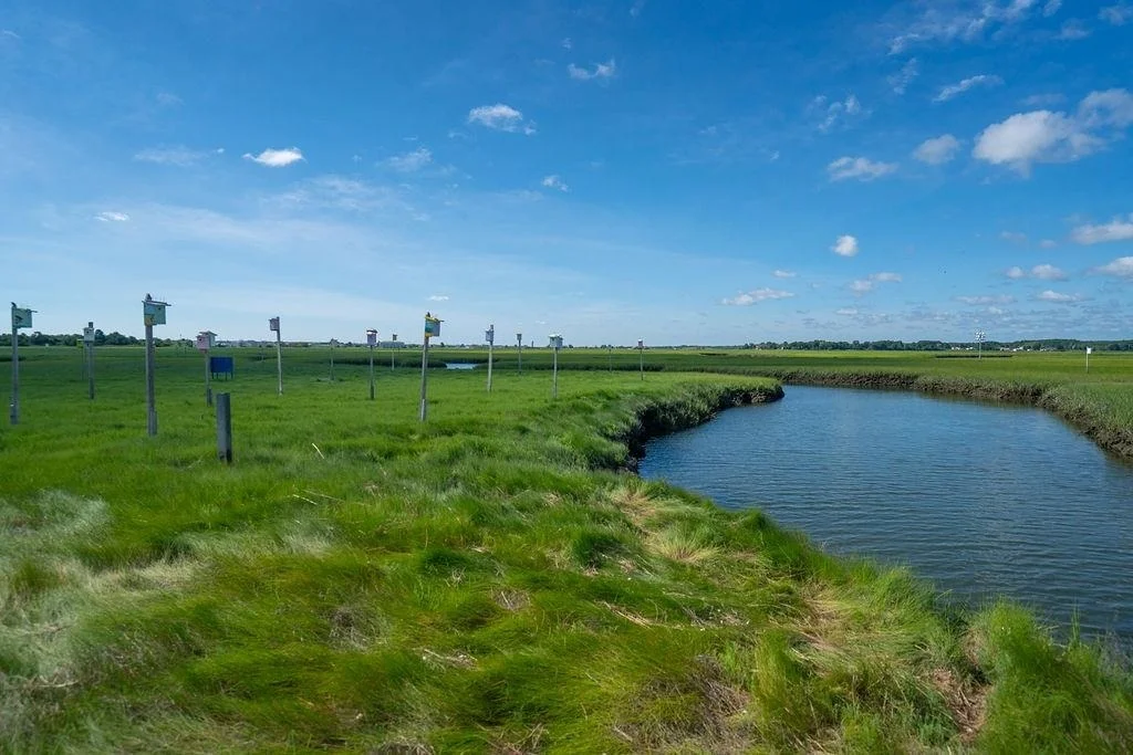 Photo of 27 Cross Beach