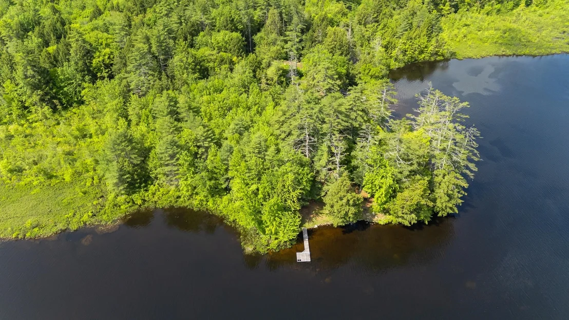 Photo of 31 Sherene Orchard