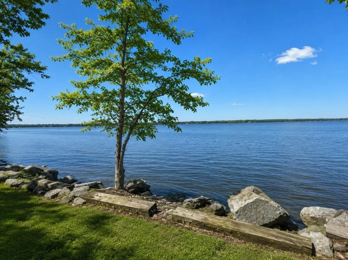Photo of 33 Leo