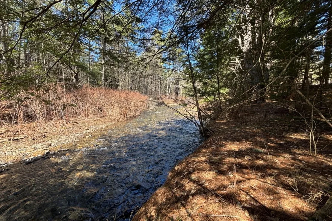 Photo of 40 E Putney Brook