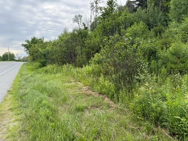 Photo of 489 Route 15