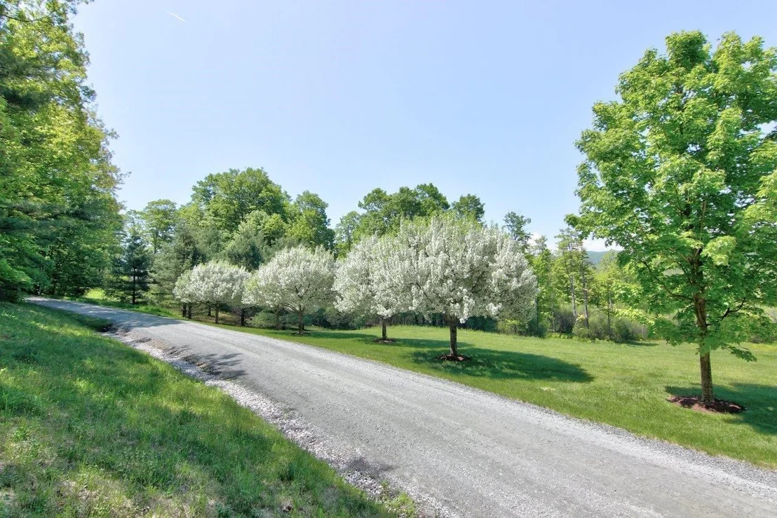 Photo of 14 Olcott