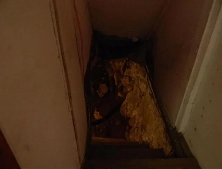 Photo of 5 Cottage