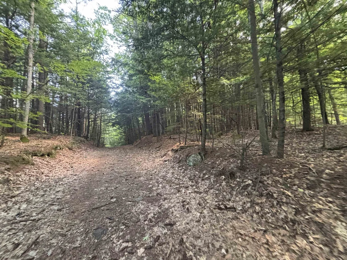 Photo of 00 Windfall