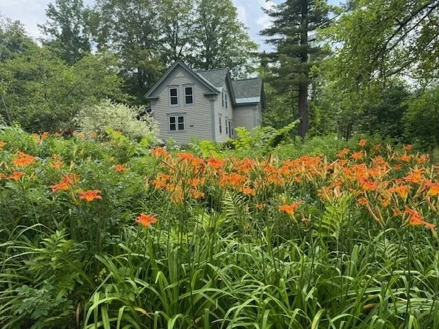 Photo of 565 Main
