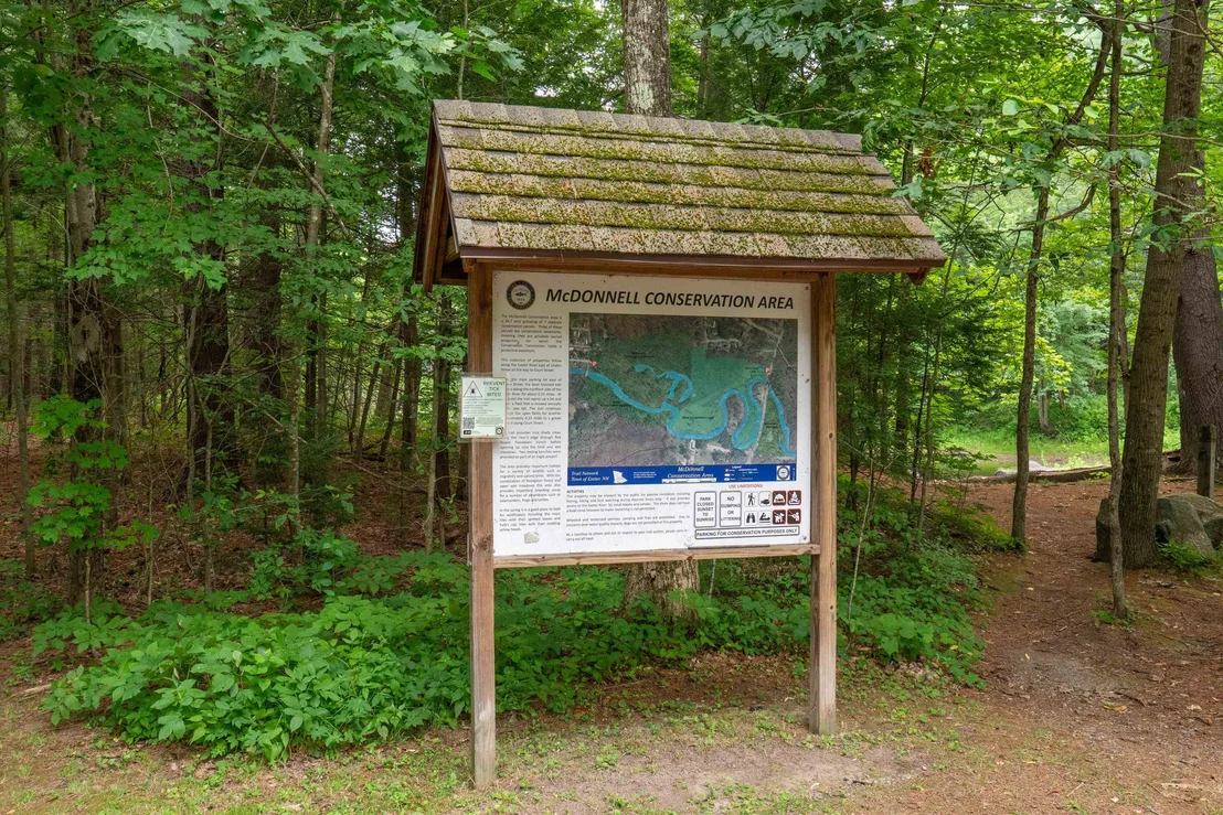 Photo of 44 Donna
