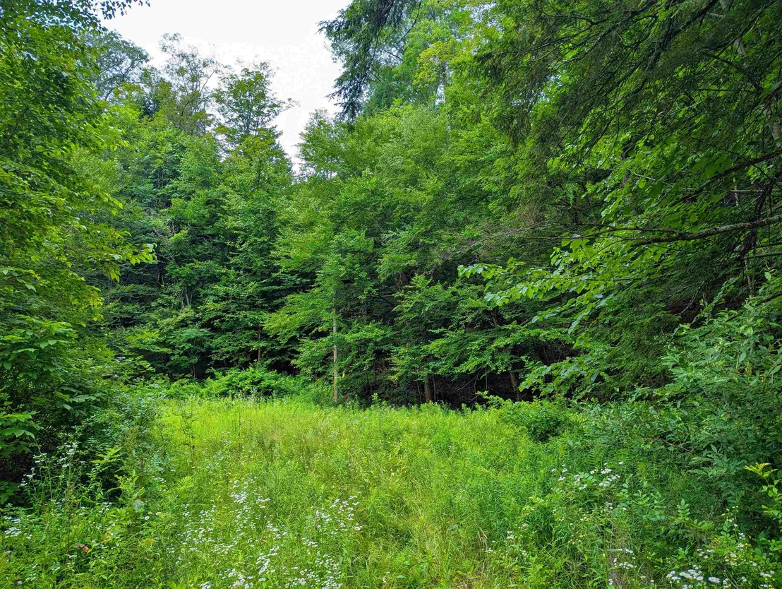 Photo of 341 Seavers Brook