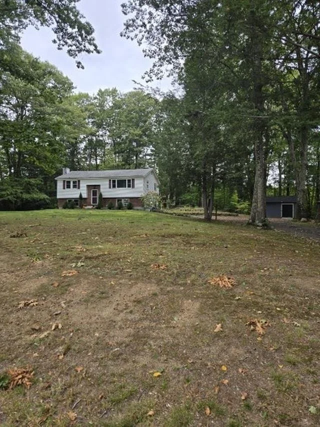 Photo of 9 Epping Woods