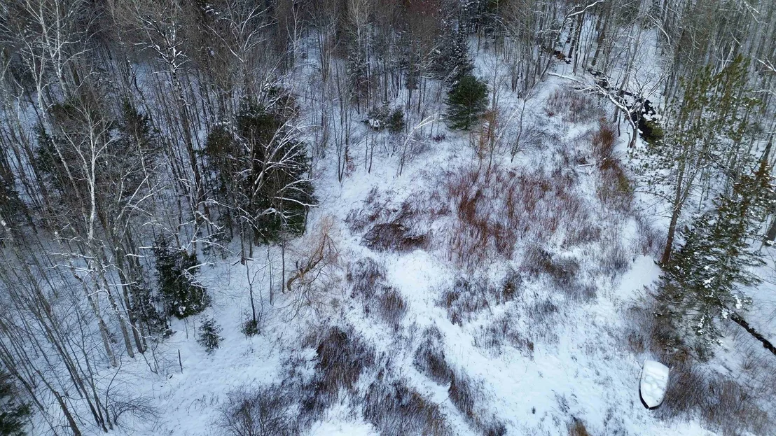 Photo of 142 Brooks