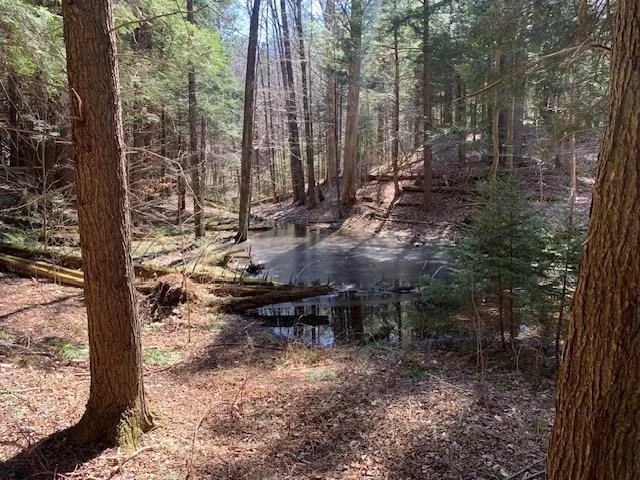 Photo of TBD VT Rt 100