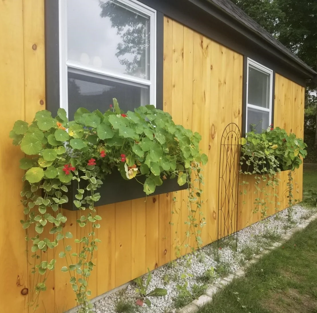 Photo of 28 Upper Cherry