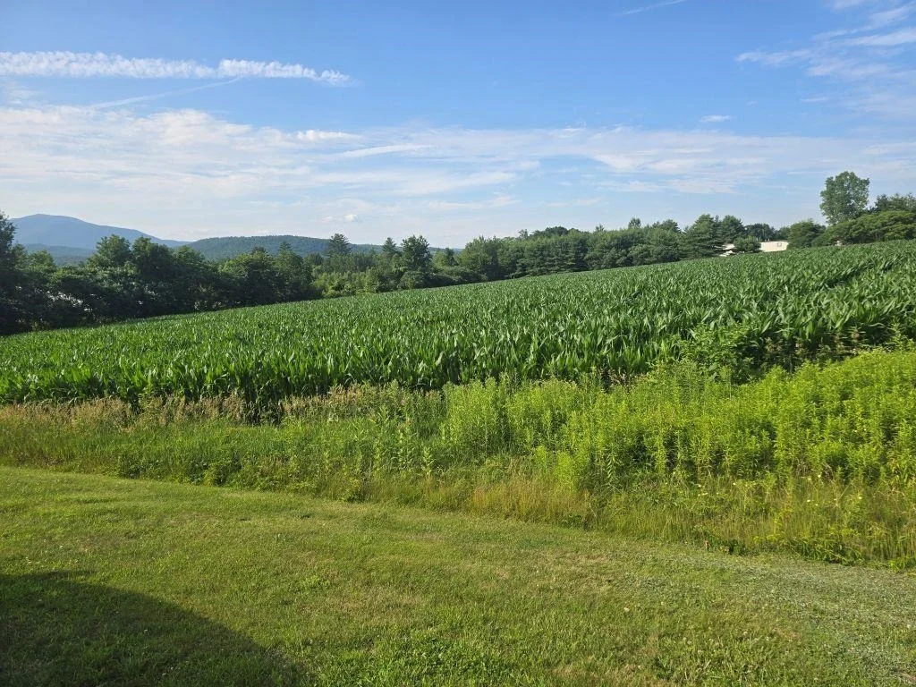 Photo of 509 River
