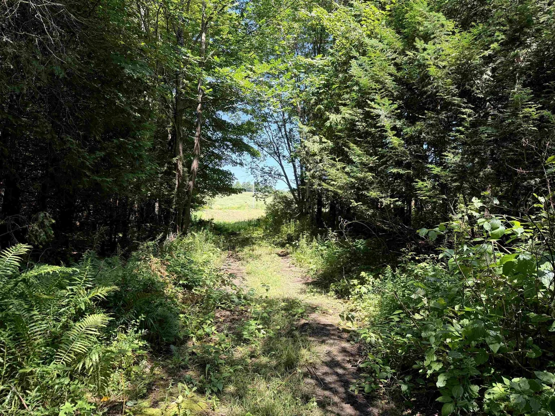 Photo of 3329 Bates Hill
