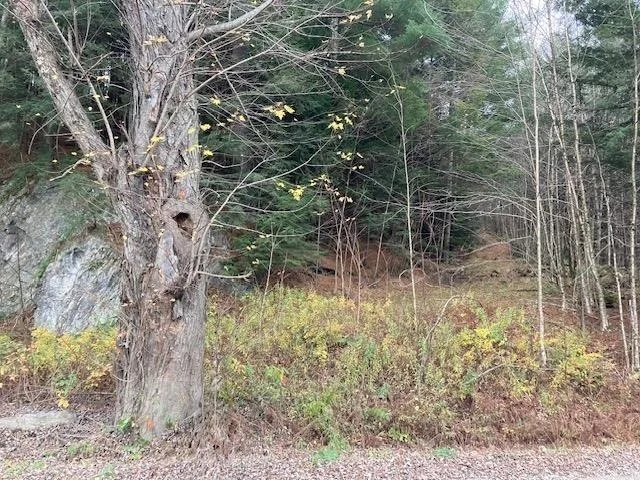 Photo of 843 River