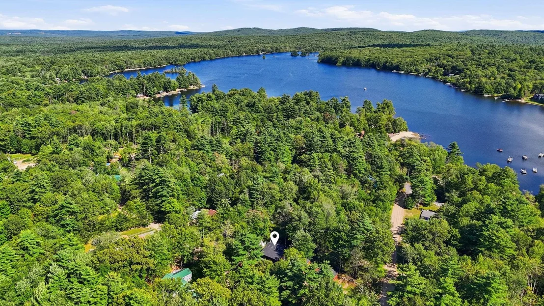Photo of 12 Pine