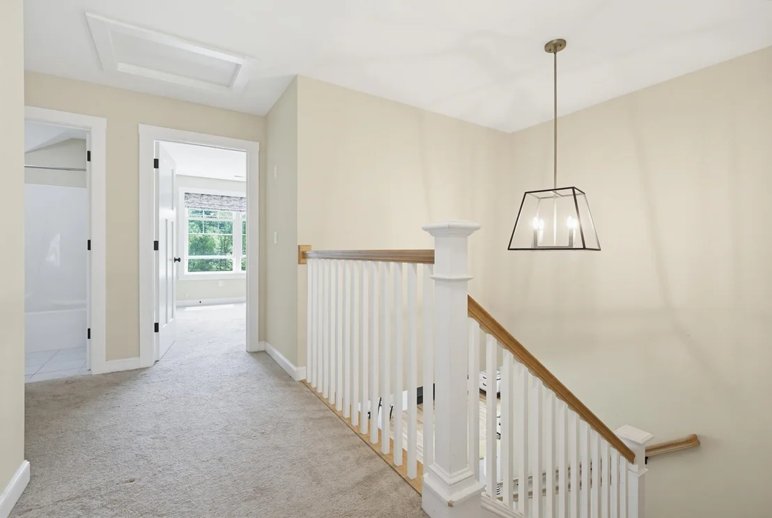 Photo of 52 Calla