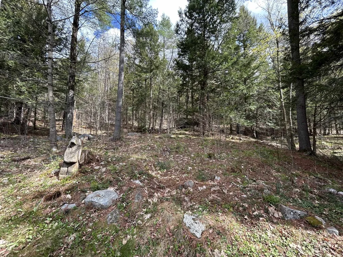 Photo of 354 Shattuck Hill