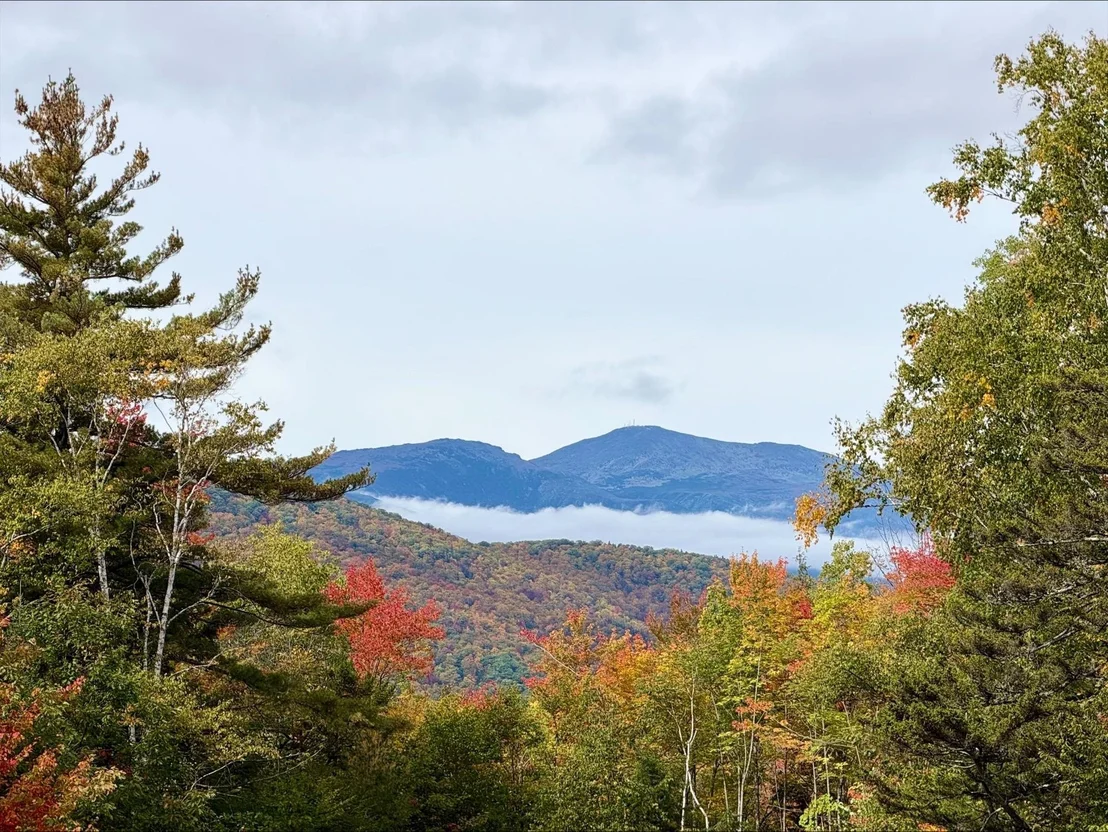 Photo of 218 Black Mountain