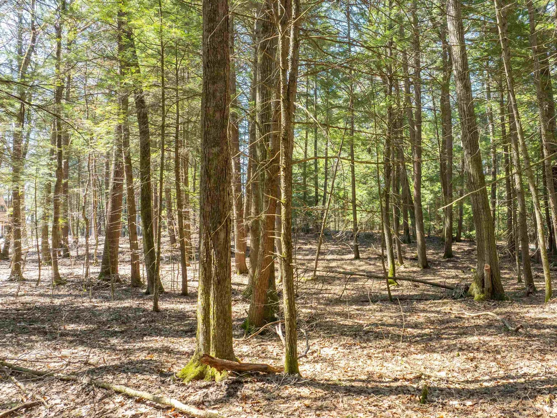 Photo of 00 Morrill Bend