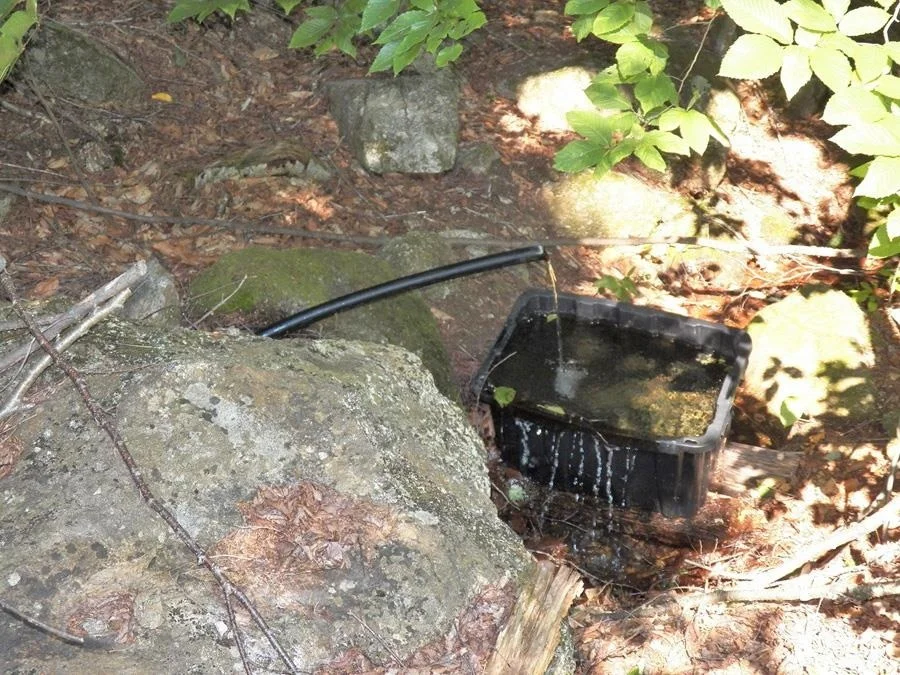 Photo of 116 Beaver Lake