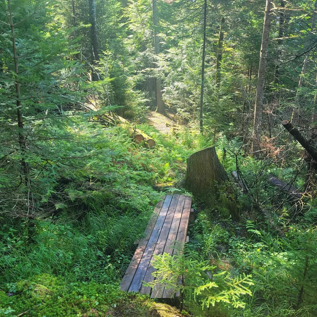 Photo of 102 River Bend Meadow
