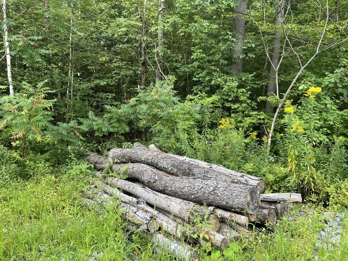 Photo of 00 Pratt Bridge