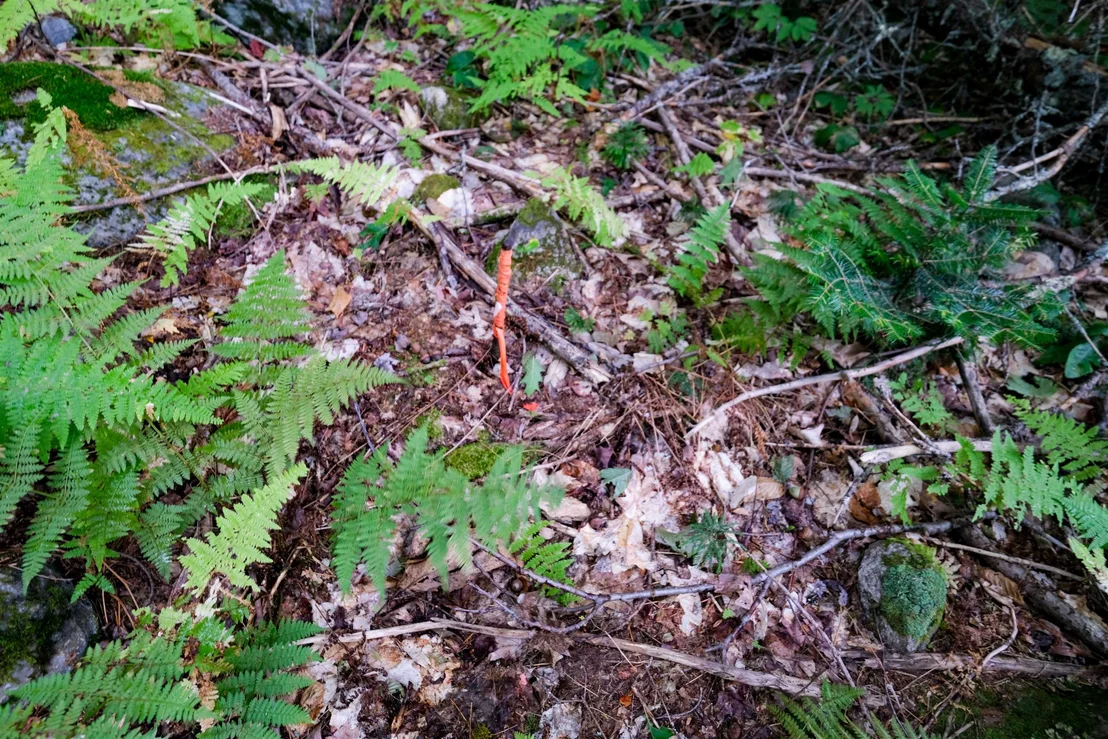 Photo of 00 Evergreen Acres
