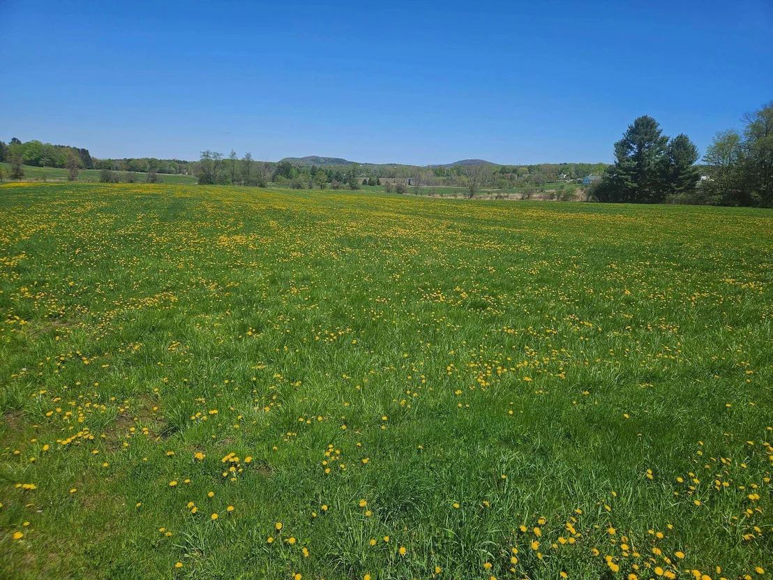 Photo of Lot 2 Plains