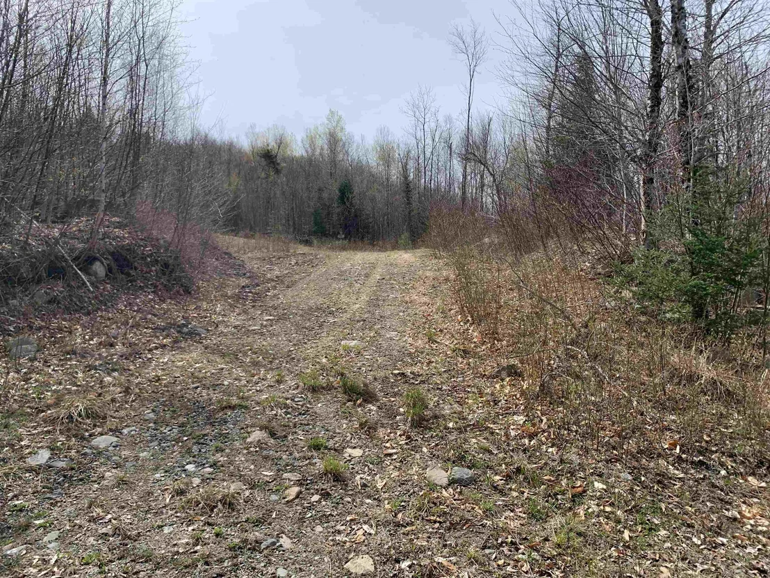 Photo of Lots 13 & 22.4 Washburn