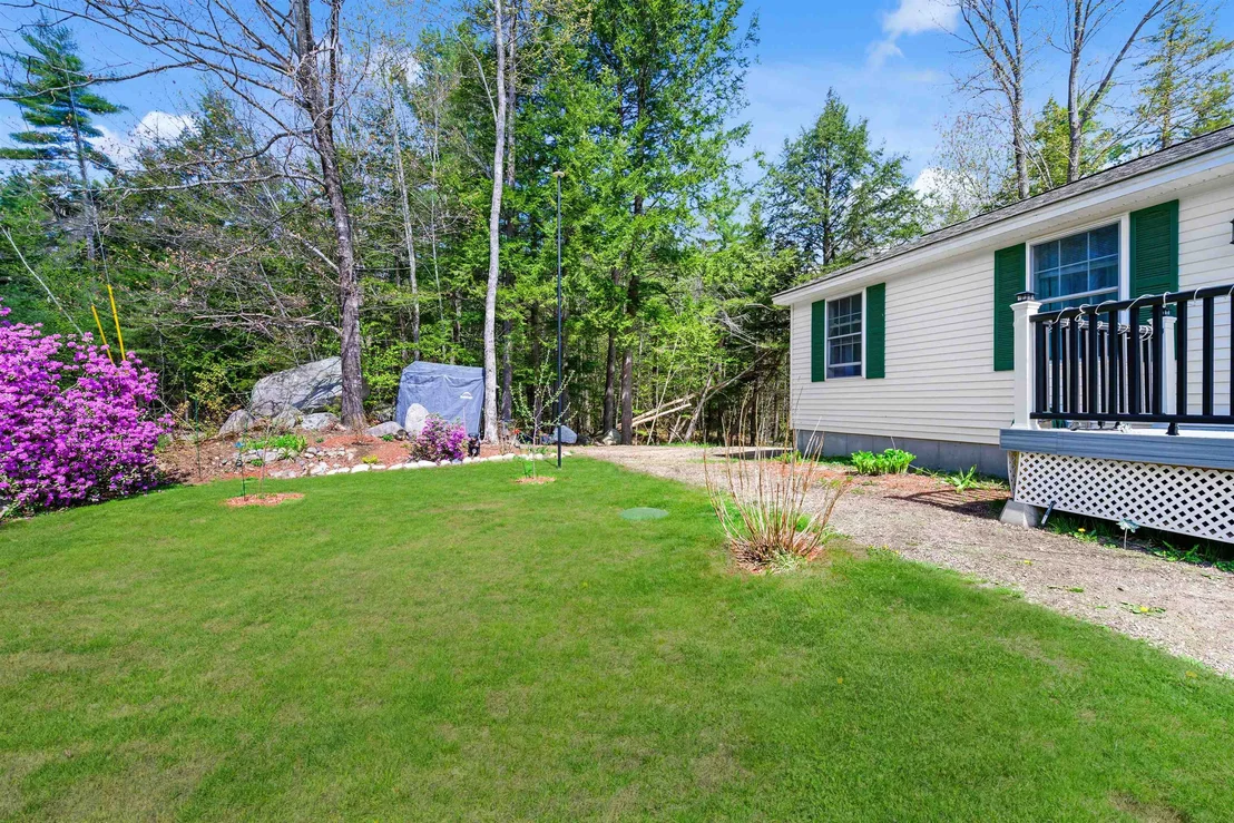 Photo of 26 Birch Tree