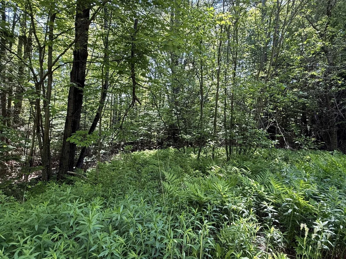 Photo of Unit 12 at 19 Stone Ridge