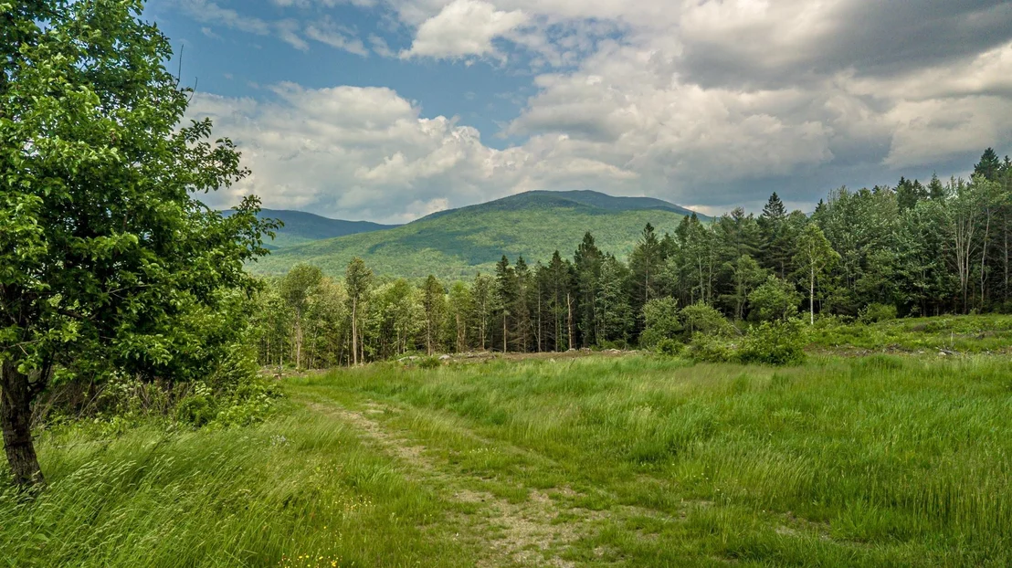 Photo of 53 Pleasant Valley