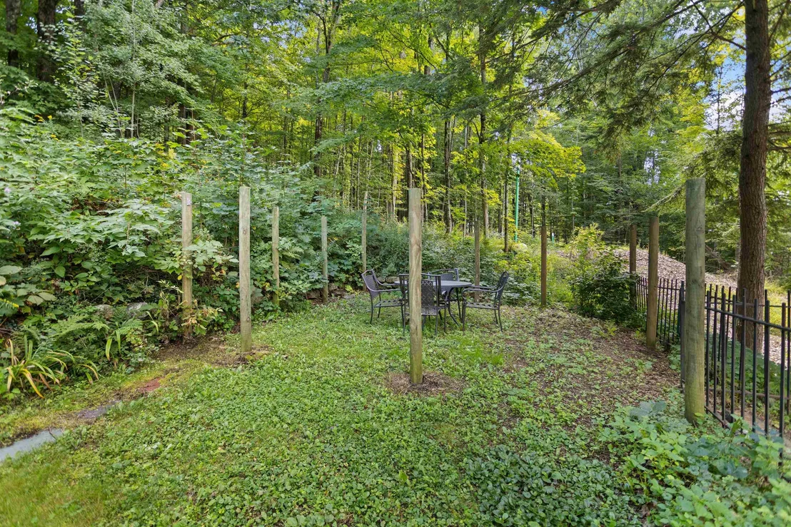 Photo of 6 Forest