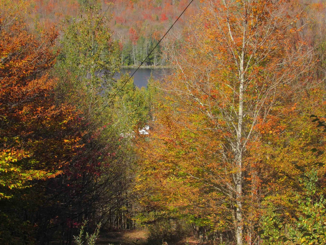 Photo of 6791 US Route 5