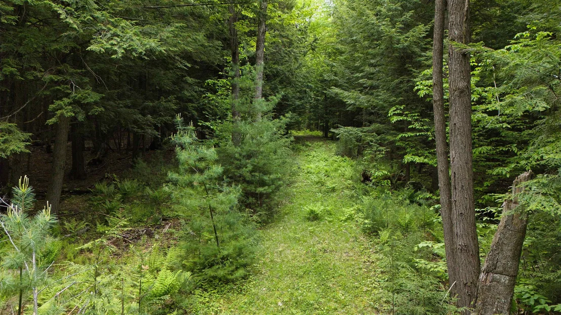 Photo of Lot 13 Beach Pond