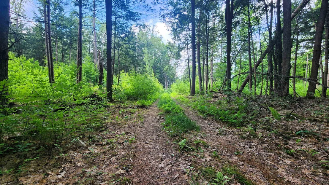 Photo of 0 Spencer Hollow