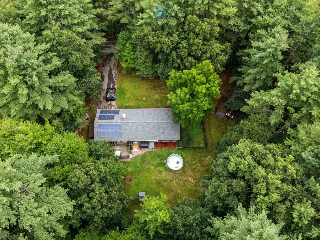 Photo of 6 Juniper