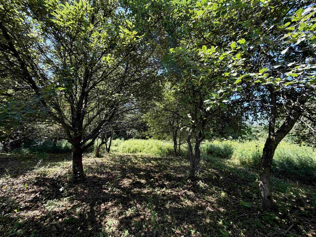 Photo of 3329 Bates Hill