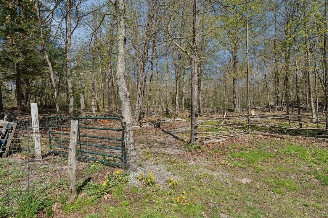Photo of 321 Loudon