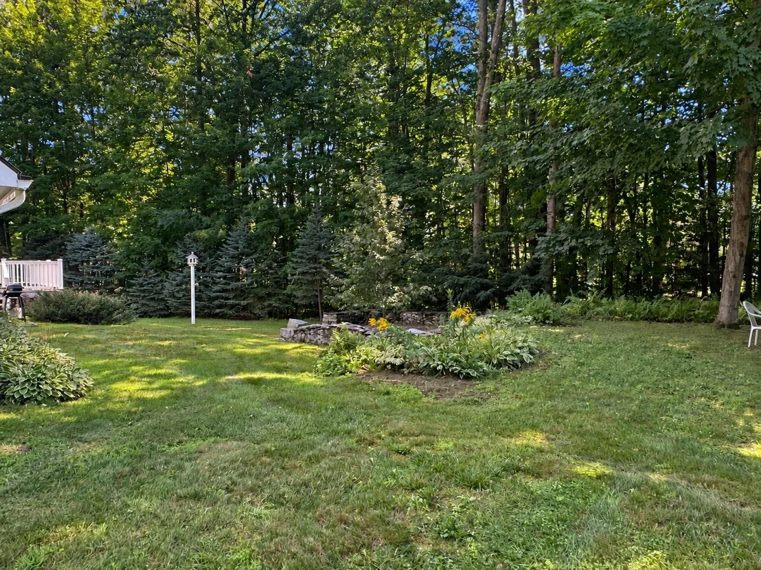 Photo of 196 Spruce